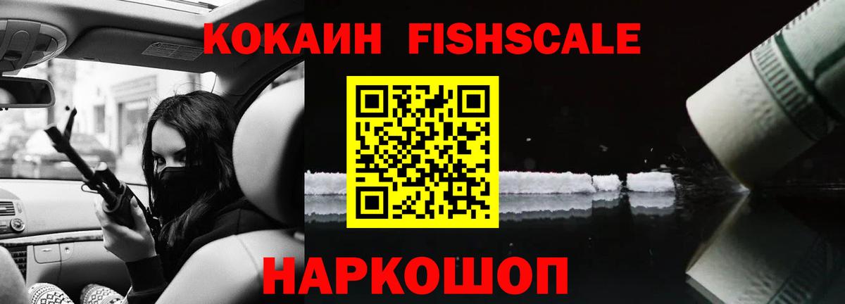 Кокаин  Вход с VPN  Новозыбков  КОКАИН Fish Scale  как найти наркотики  КОКАИН Fish Scale 