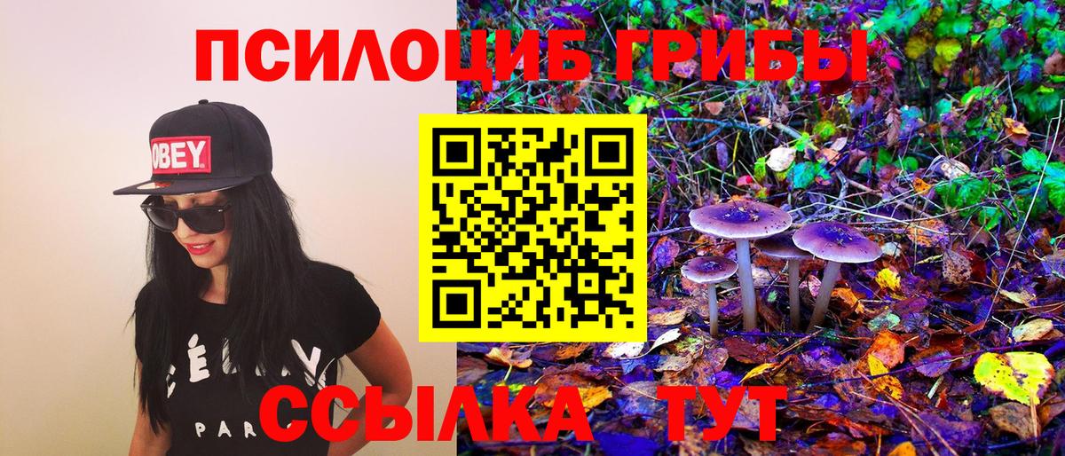 Галлюциногенные грибы Psilocybine cubensis  Вход с VPN  Новозыбков 